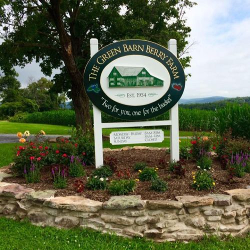 Muncy you-pick produce farm adapts to COVID regulations